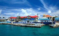 新加坡和香港公司对股东、董事的要求