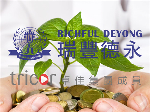 菲律宾公司找代理做账报税的好处